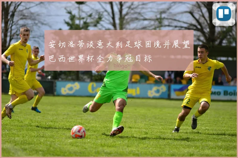 安切洛蒂谈意大利足球困境并展望巴西世界杯全力争冠目标