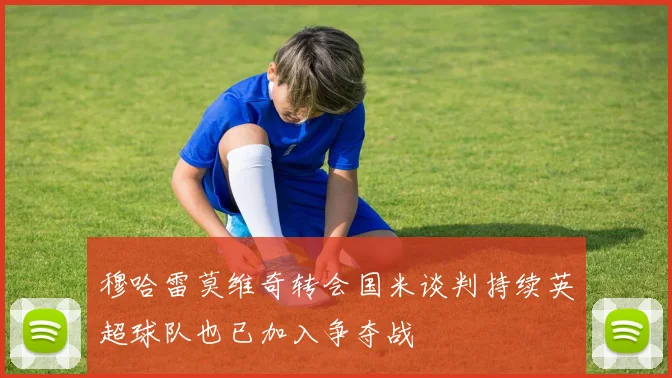 穆哈雷莫维奇转会国米谈判持续英超球队也已加入争夺战