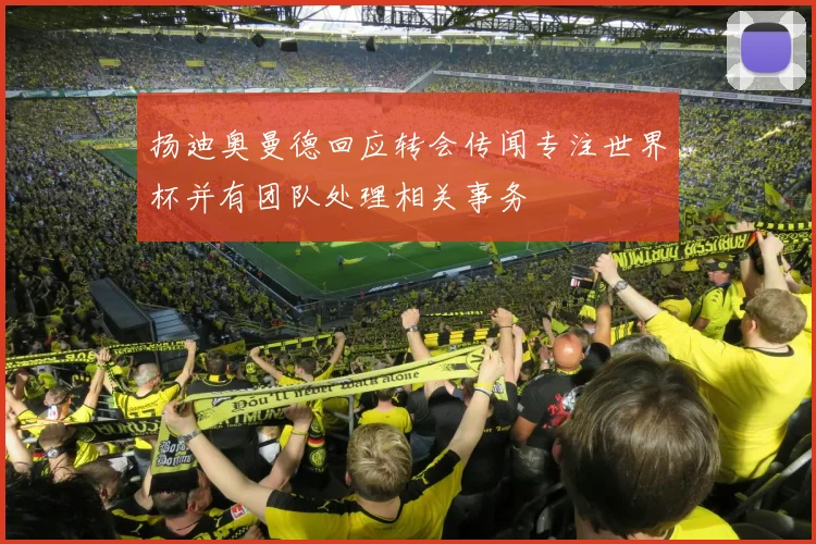 扬迪奥曼德回应转会传闻专注世界杯并有团队处理相关事务